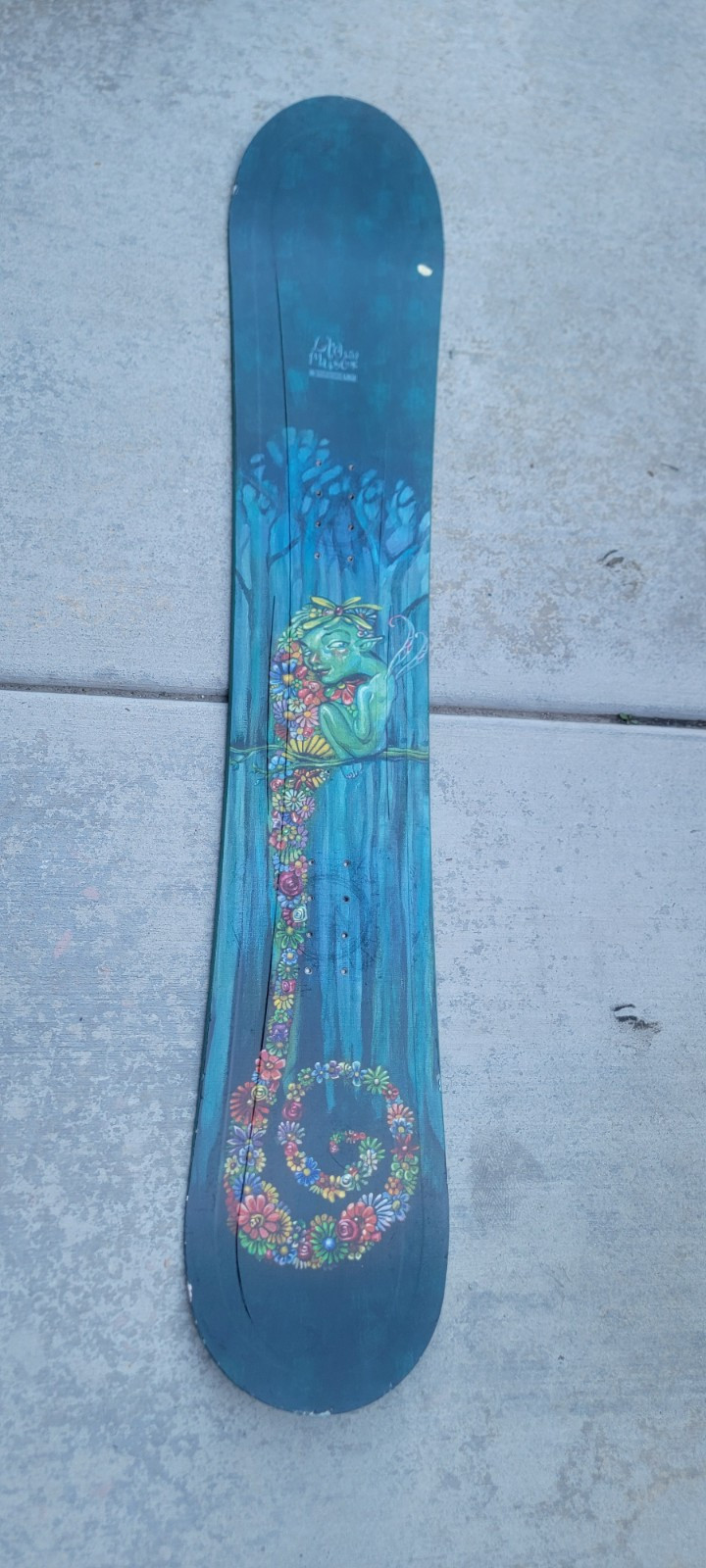 LTD MUSE 154 SNOWBOARD | eBay