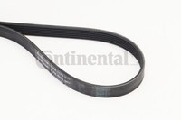 Continental Ctam Keilrippenriemen 6PK1173 6 Rippen 1173 Mm FüR Acura Audi Bmw