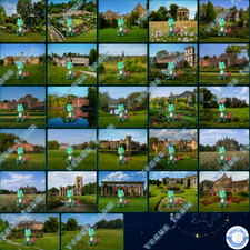Pokémon Go - Shiny Treecko National Trust Special Background - PTC - TRADE