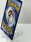 Foto 11 di 12