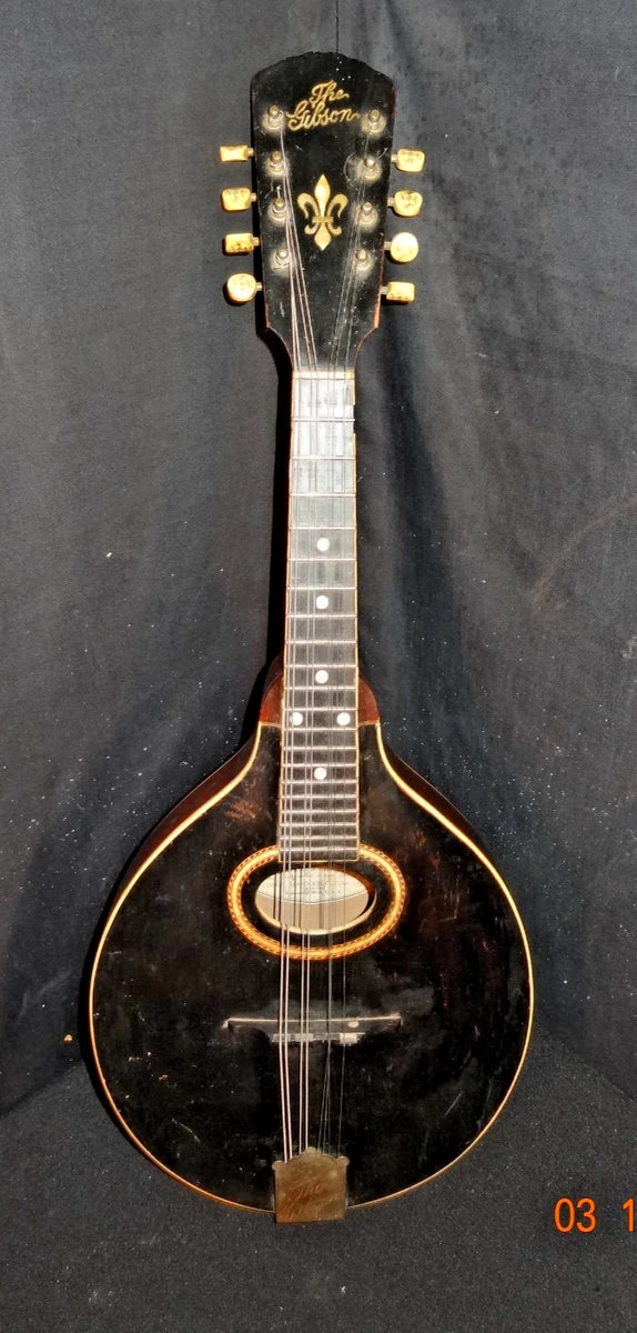 【値下げ！】Gibson ビンテージ マンドリン ペグ 1900〜1910年代 gibson a style mandolin products for sale | eBay