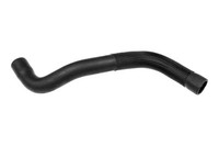 Vaico - V46-1232 - KüHlschlauch - Passt FüR Renault 8200369332