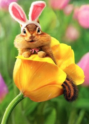 Funny HAPPY EASTER Card, Cute Chipmunk Bunny Ears Tulip by Avanti + Envelope