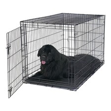 Vibrant Life Foldable 48" Wire Crate for Dogs with Divider and Leak-Proof Tray