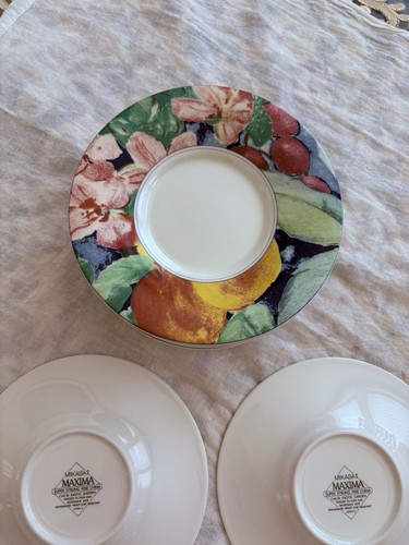 10 Mikasa Maxima Exotic Garden CAK26 Super Strong Fine China 6 3/8" Untertassen - Bild 5 von 10