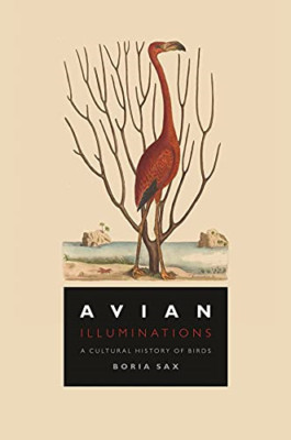 Avian Illuminations: A Cultural History of Birds - Hardback NEW Sax, Boria 01/01