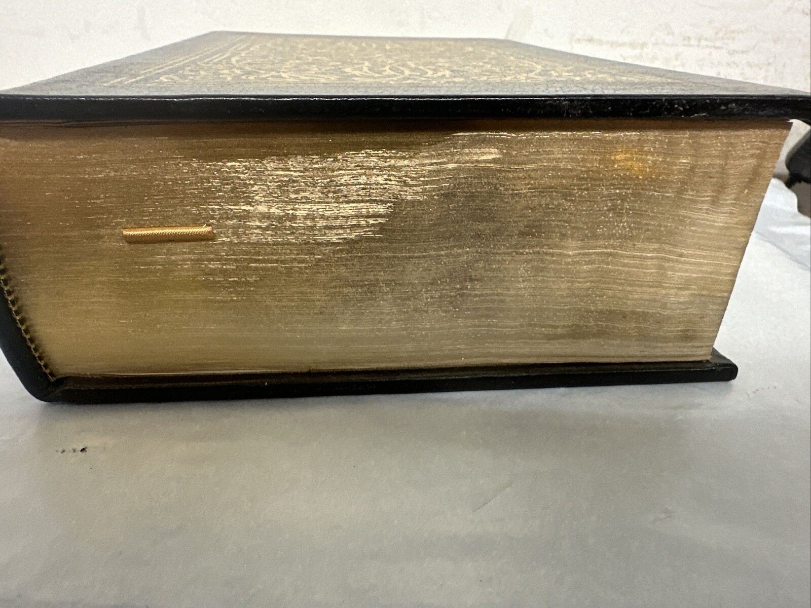 Picture 5 of 21