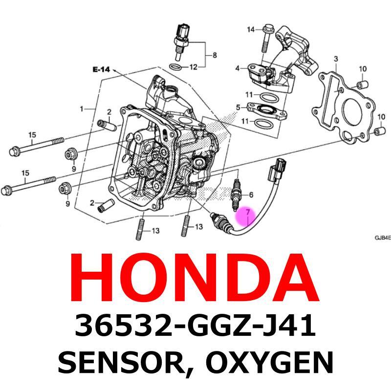 NEW】Honda Genuine 2018-2023 NCW50 SENSOR, OXYGEN 36532-GGZ-J41