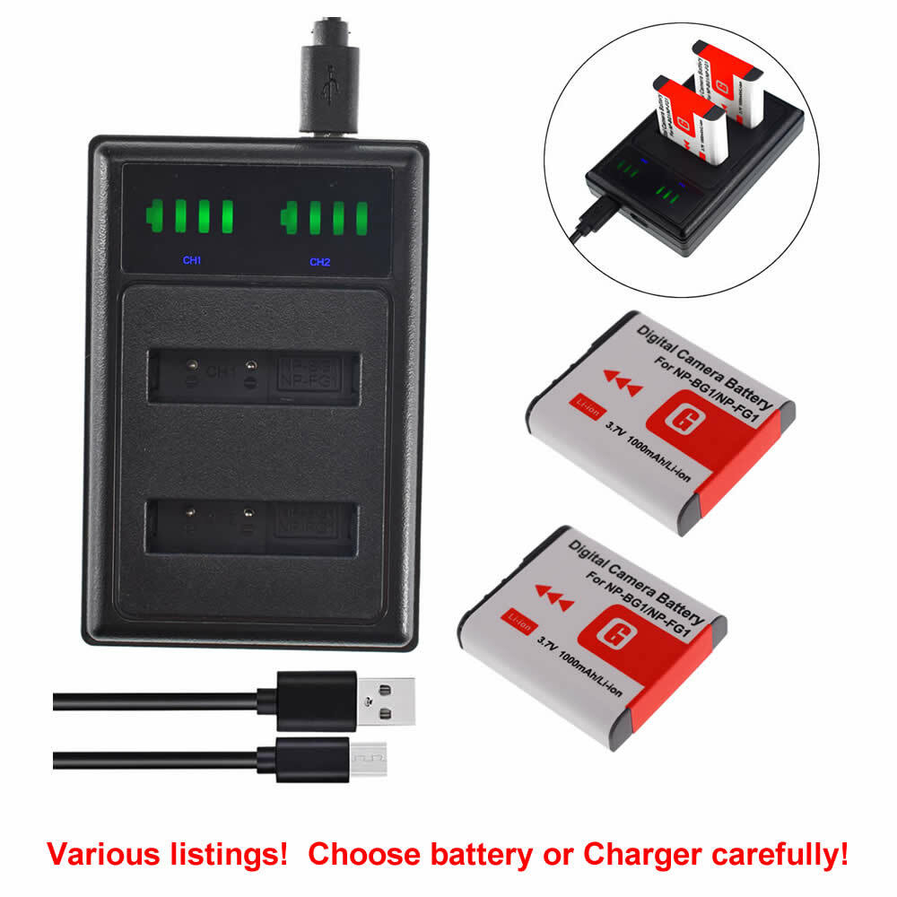 NP-BG1 Type G Lithium Ion Battery /USB Charger for Sony W Series