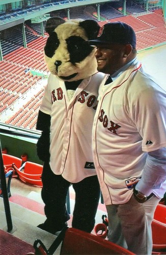 BASEBALL Photo (2014) Red Sox PABLO SANDOVAL "Panda" Ex-Giant