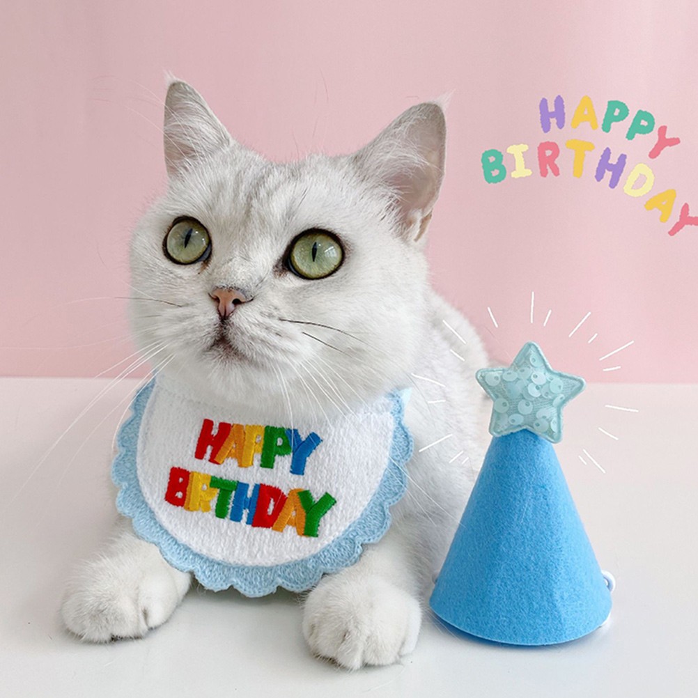 Cappello per Cani e Gatti - Accessorio per Cosplay foto 4