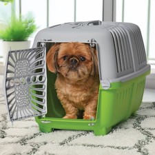 22 Inch Spree Travel Pet Carrier for Dog or Cat with Plastic Door, Green