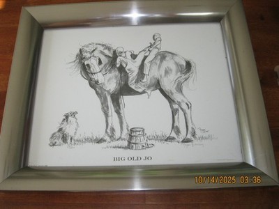 Rozan Henning  '' BIG OL JO '' # 119 of 300   W/COA 1995 FRAMED 15X12