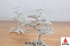 Picture 2 of 4