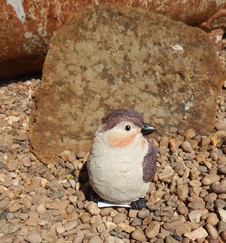 Bird Garden Ornament Statue Wildlife Pond Flower Bed Home Outdoor Décor Various - Picture 3 of 29