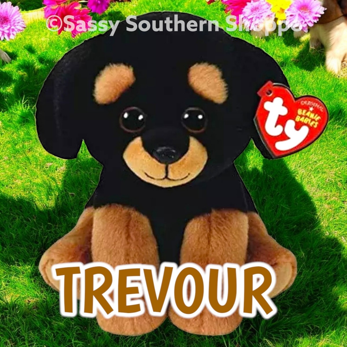 🤎 2019 TREVOUR Black Tan ROTTWEILER DOG Ty Beanie Babies 19th