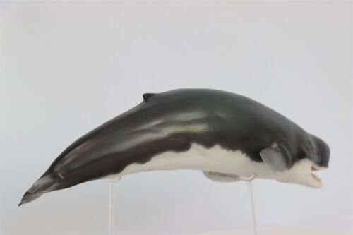 PNSO Livyatan Melvillei 56 Figure Marine Mammals Adult Kid Animal Model Toy Gift - Picture 7 of 19