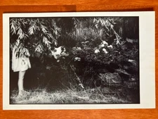Liza Stelle Glendal MA Art Untitled Cat & Girl Postcard PC0