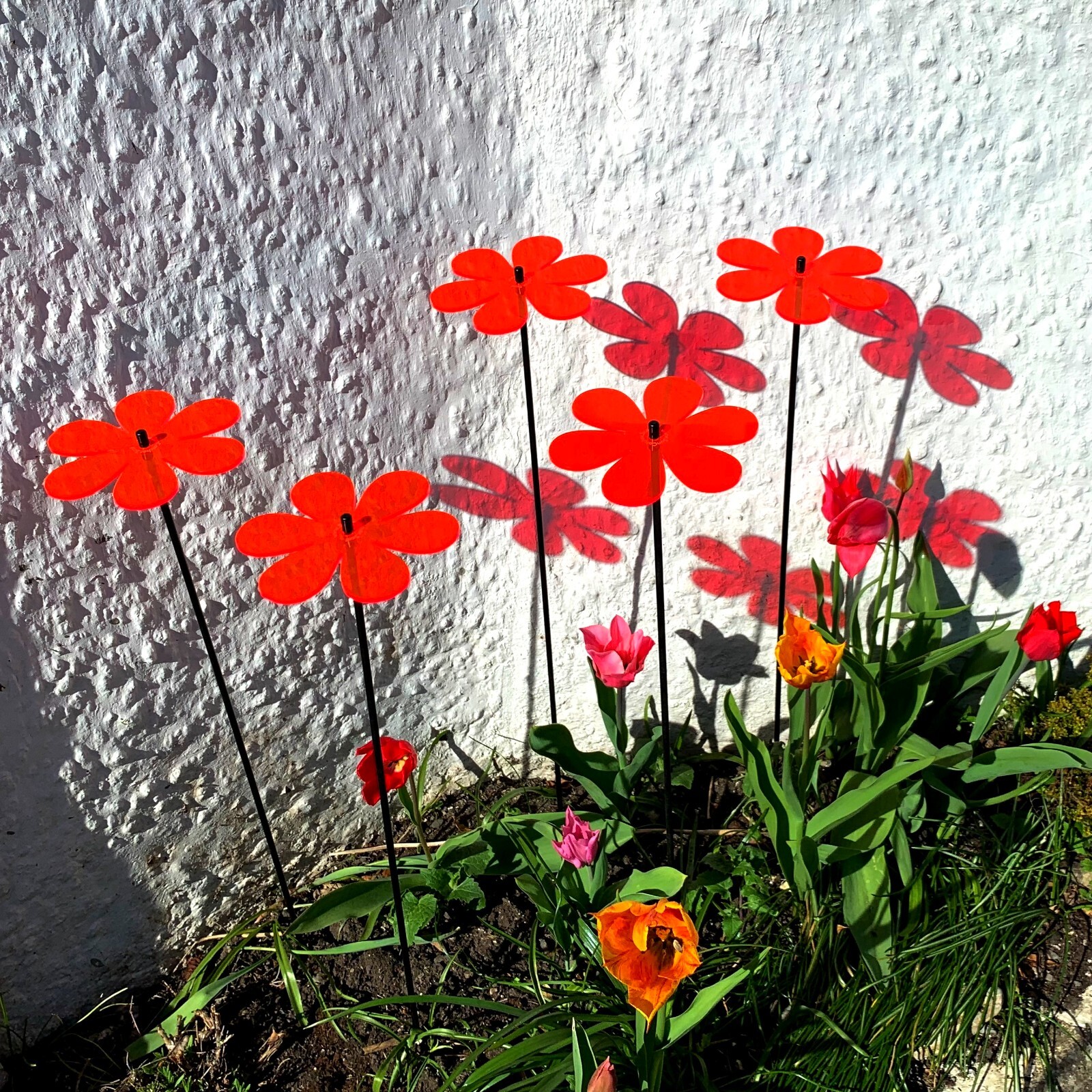 Bild 15 von 35