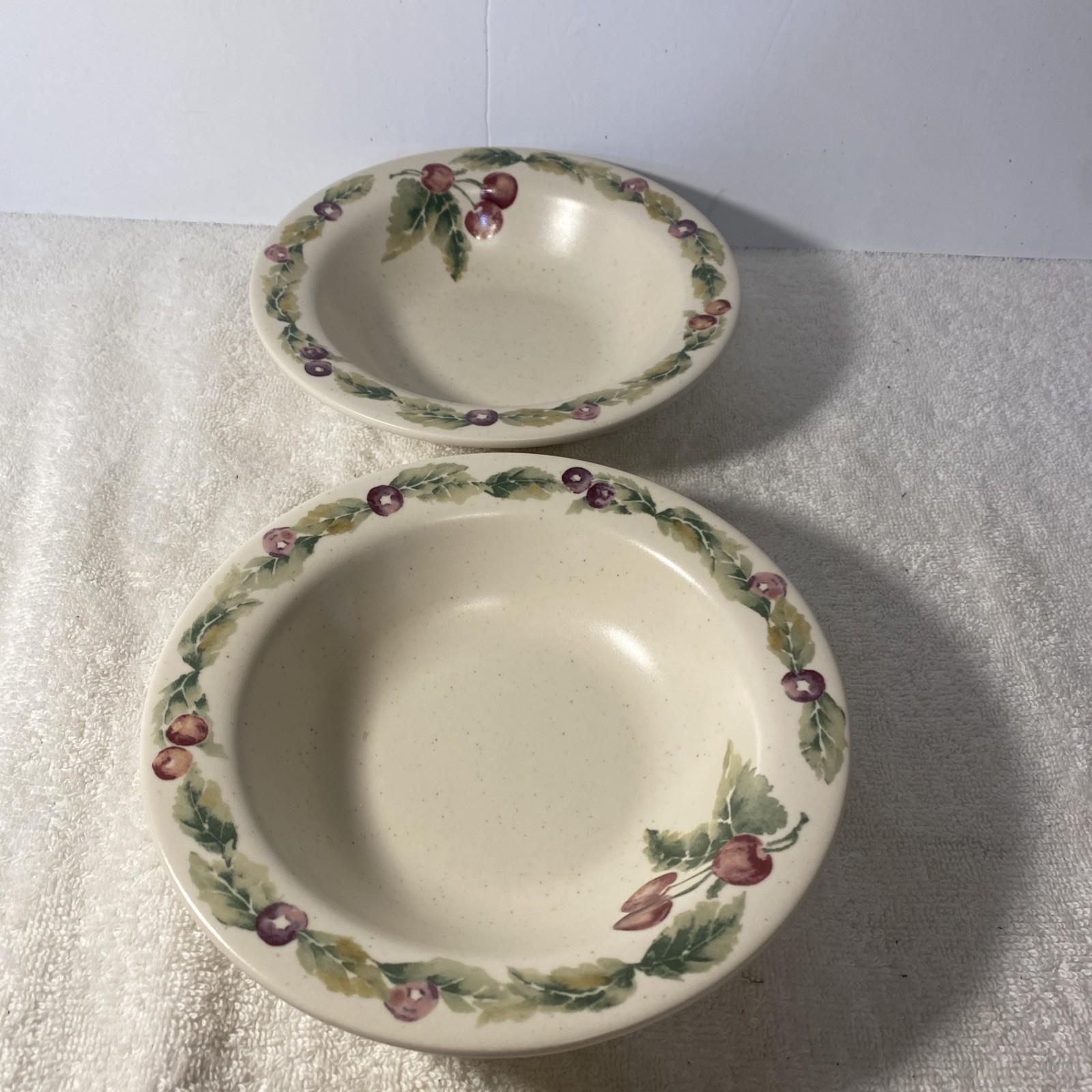 Pfaltzgraff Jamberry Stoneware 2-Piece Deep Cereal and Soup Bowl Set by Pat Farrell