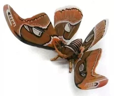 Mini Figure Yonagunisan "Capsule Q Museum Japanese Animal Collection 7 Yaeyama