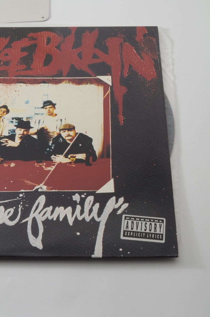 Lordz Of Brooklyn – All In The Family AM Records 1995 Us Orig(1LP