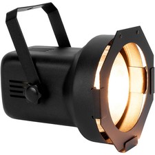 Eliminator Lighting Par38EL Professional Par Can With 150 Watt Flood Lamp