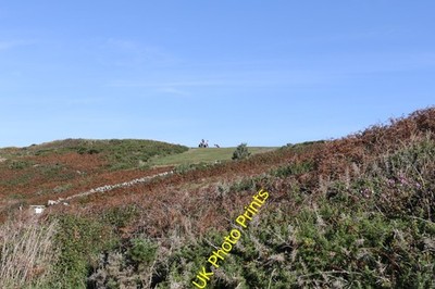 Foto 6x4 Bracken und Gorse Hugh Stadt in der Nähe von Carn Morval Point c2016