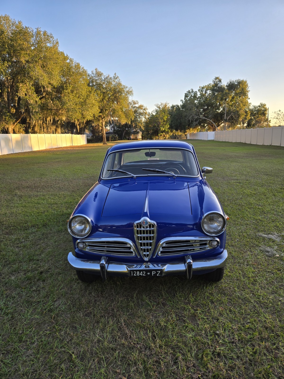 1960 Alfa Romeo Giulietta for sale in Montverde Florida