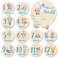 Wooden Baby Monthly Milestone Cards Double Sided Birth Announcement Sign Bear