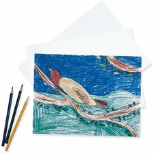   Sulphite Drawing Paper 9" x 12" 80 Lb White 500 Sheets