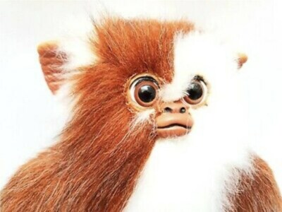 Gizmo gremlins mogwai poupée gizmo peluche Quiron 15 Warner Bros jouet vintage des années 80 TRÈS RARE - France