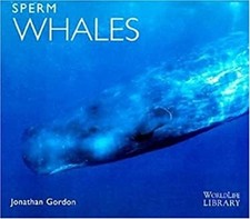 Sperm Whales Paperback Jonathan Gordon