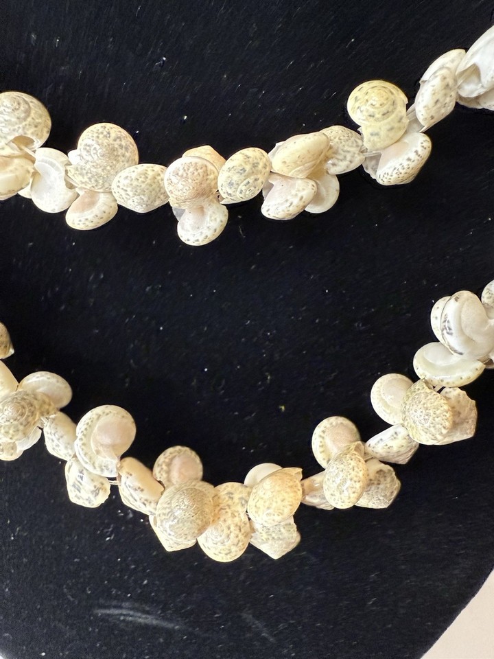Artisan Ivory Color Spiral Small Sea Shell Cluster 36 Inch Necklace | eBay