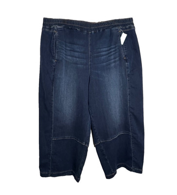 Anthropologie Pilcro Izzie Knit Relaxed Pull-On Barrel Jeans Women's 2X Plus