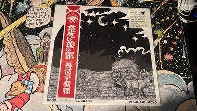 Kikagaku Moyo - House In The Tall Grass (LP Album)