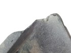 Foto 5 di 6