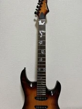 Aria Proⅱ Electric Guitar Safe Packing!