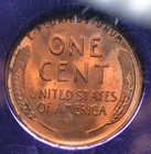 1940-S Lincoln Wheat Cent NGC MS-66 RD Trader Bea Holder! Weekly 1C Auctions! — photo 2
