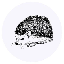 24 x 'Hedgehog' Stickers - for Crafts, Scrapbooking and Labelling (SK00035143)