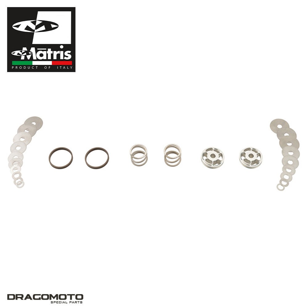 Kit fourche Triumph Street Triple 765 RS HD01 HD02 suspension moto