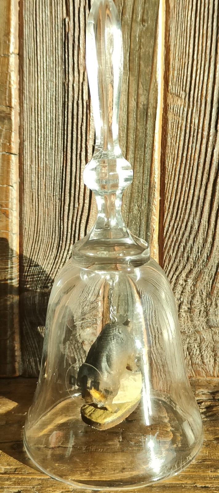Foto 2 di 5