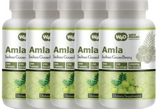 Amla Fruit Extract Tablets 1500 Pills, 750 Days Supply(5 Packs) Amalaki Fruit