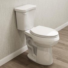 HOROW Two Piece Toilet 21 Inch Extra High Elongated Toilet 1.28 GPF Single Flush