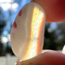 PINK & PURPLE Stripes Opalescent Layered Multi! Real Davenport Beach Sea Glass