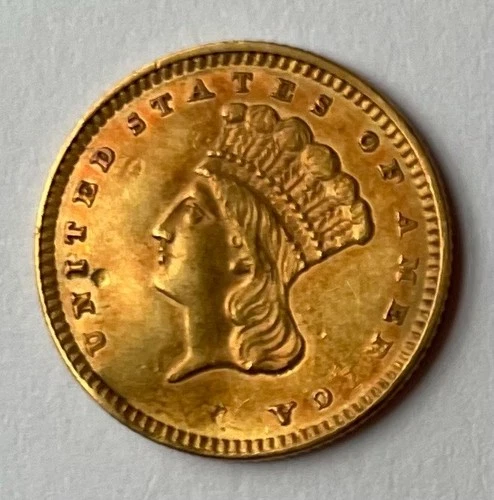 1856 Type 3 Indian Princess Large Head One Dollar $1 Coin! FREE SHIPPING!