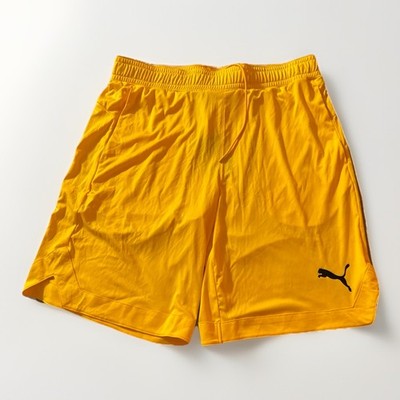 Puma Essential RTG 10  Shorts Shiny Fabric Men s NWT Size Large 670426-39