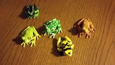 5 exotische Puzzle-Fr&ouml;sche