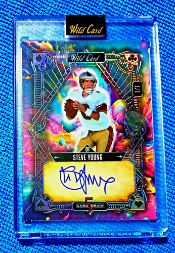 2024 WILD CARD EGG HUNT 5 CARD DRAW SPRING EDITION RAINBOW STEVE YOUNG AUTO 1/1