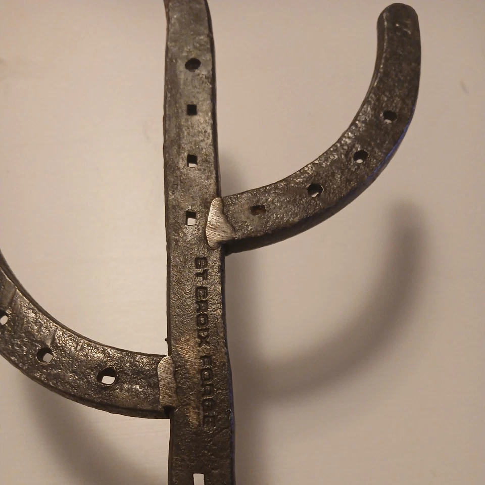Lot* Forged Horseshoe Cactus Hat/Coat Hook, A Cowboy's Guide To Life Book INL449 - Image 4 of 4